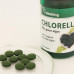 Chlorella alga